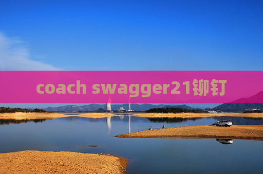 coach swagger21铆钉